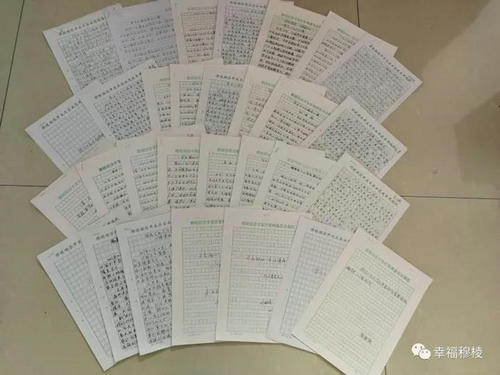 十九大心得体会书稿